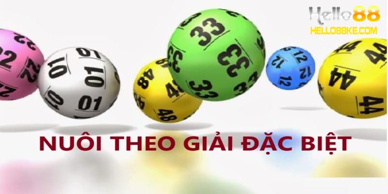 Nuôi theo giải đặc biệt