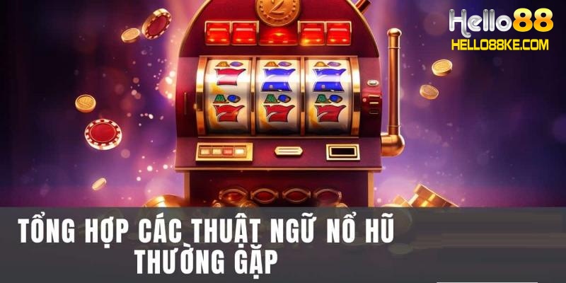 Những thuật ngữ thường dùng